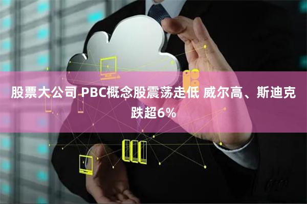 股票大公司 PBC概念股震荡走低 威尔高、斯迪克跌超6%