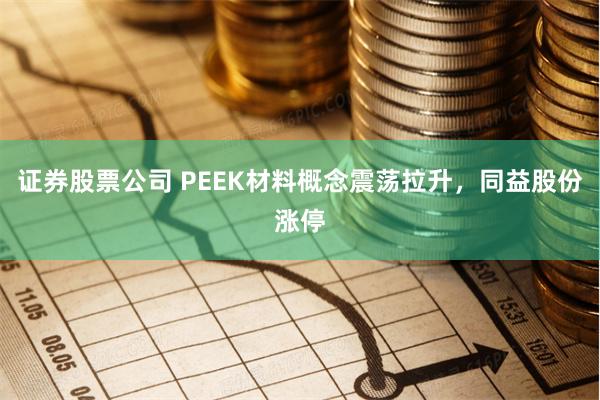 证券股票公司 PEEK材料概念震荡拉升，同益股份涨停