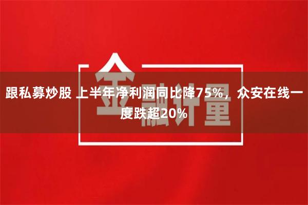 跟私募炒股 上半年净利润同比降75%，众安在线一度跌超20%