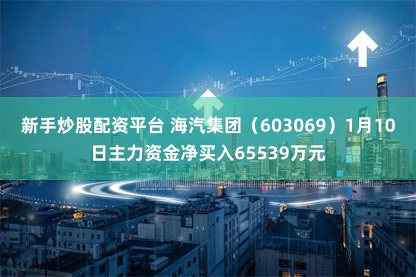 新手炒股配资平台 海汽集团（603069）1月10日主力资金净买入65539万元