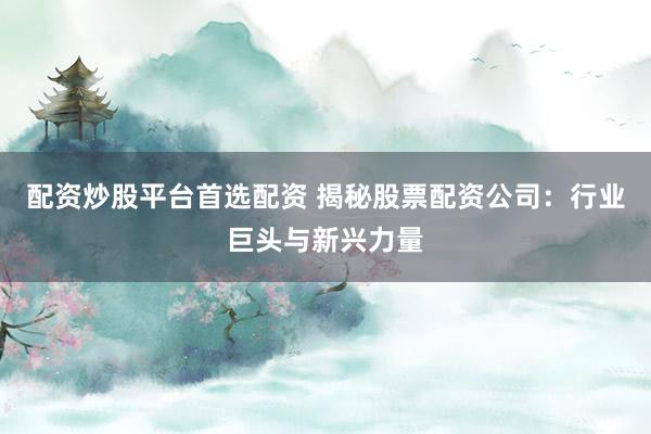 配资炒股平台首选配资 揭秘股票配资公司：行业巨头与新兴力量